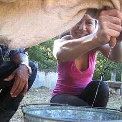  - Abigail Mind Body Soul