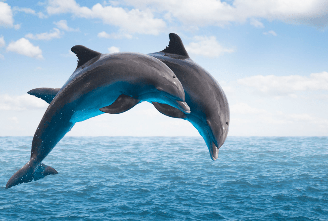  - Abigail Mind Body Soul